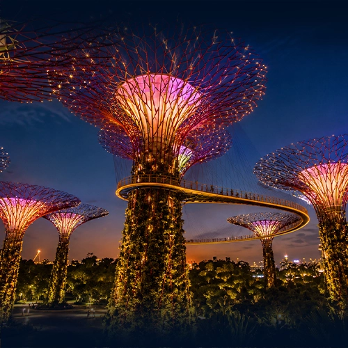 RAG Holdings Singapore company formation and business consultancy services